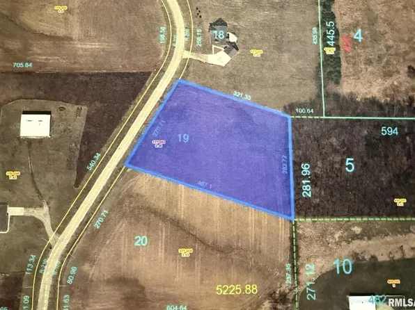 2103 Olof Krans Ave, Galva, IL 61434