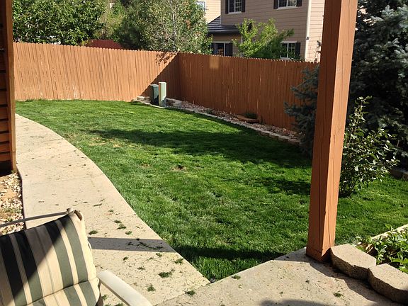 Newly seeded back lawn