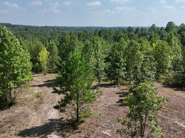 0 Freedom Rdg Lot 2, Indian Mound, TN 37079