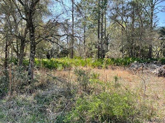 5th image of 9064 N Cavewood Ave