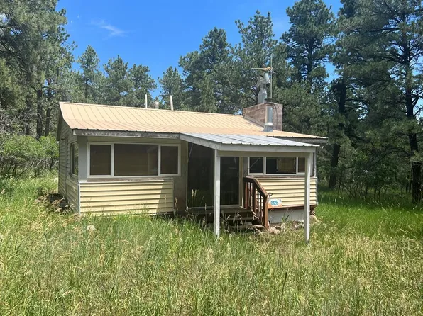 8125 Birch Dr, Rye, CO 81069