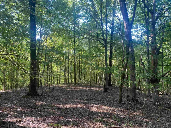 1 Friendship Loop, Savannah, TN 38372