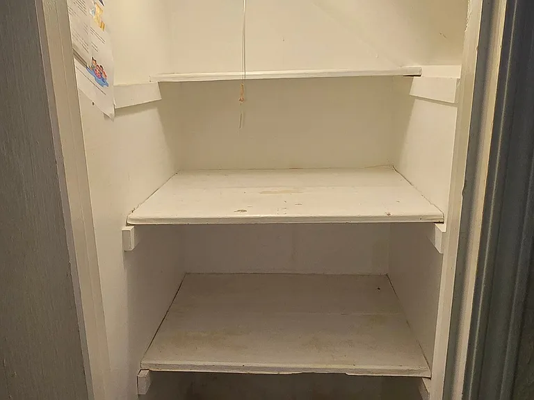 closet pantry in kitchen