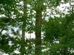 8 White Cloud Dr, Murphy, NC 28906