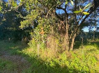 Phoenix Avenue Lot #8, Oldsmar, FL 34677