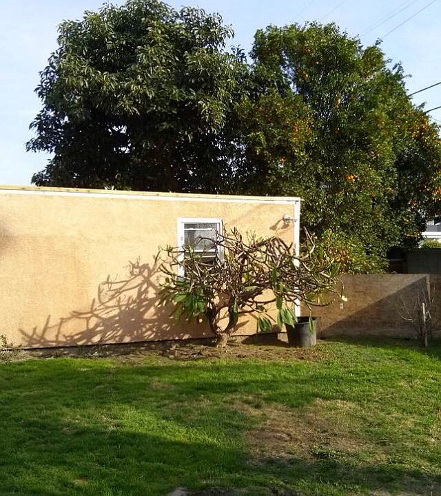 2nd image of 2814 Live Oak St