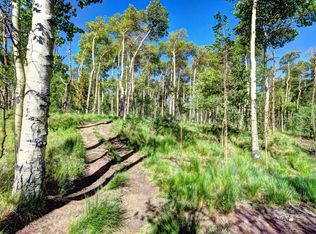 Tbd Aspen St, Alma, CO 80420