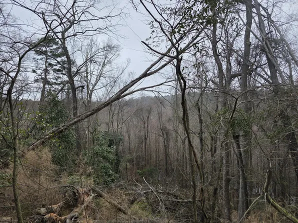 Tbd Atomic Road, Beech Island, SC 29842