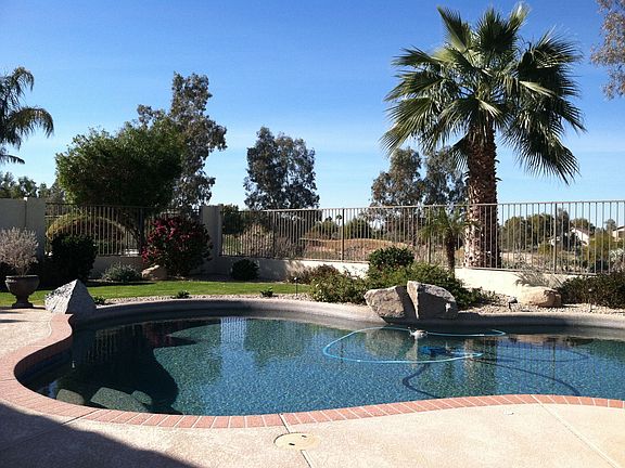 View of Backyard Pool