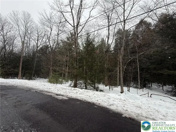 Dryden Dr, Albrightsville, PA 18210