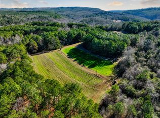 51/- Acres County Rd #33, Oneonta, AL 35121