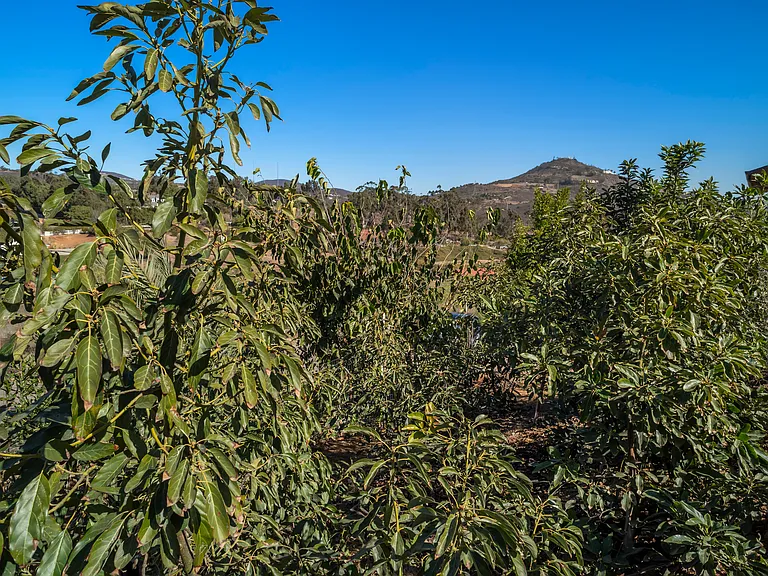 3605 1/2 Fortuna Ranch Rd — Photo 43