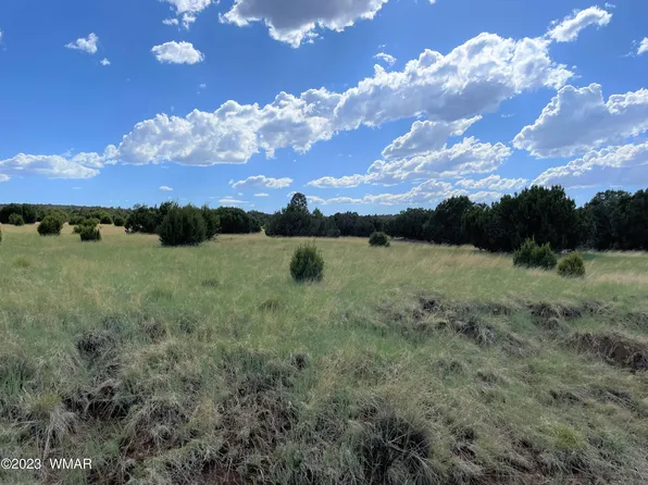 83 County Road 3035, Concho, AZ 85924
