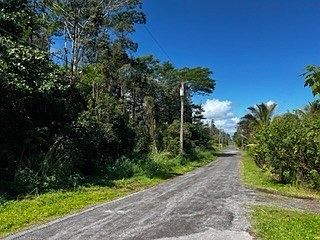 3rd image of 23rd Avenue Naupaka Lot 1125