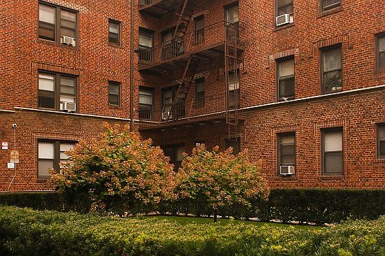 2nd image of 6835 Burns St #5C