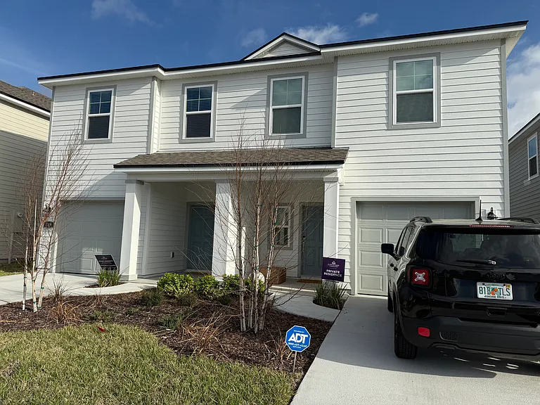 Brazil Nut Cir — Photo 6