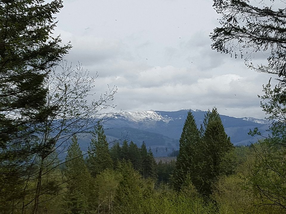 view of Silver Star peak