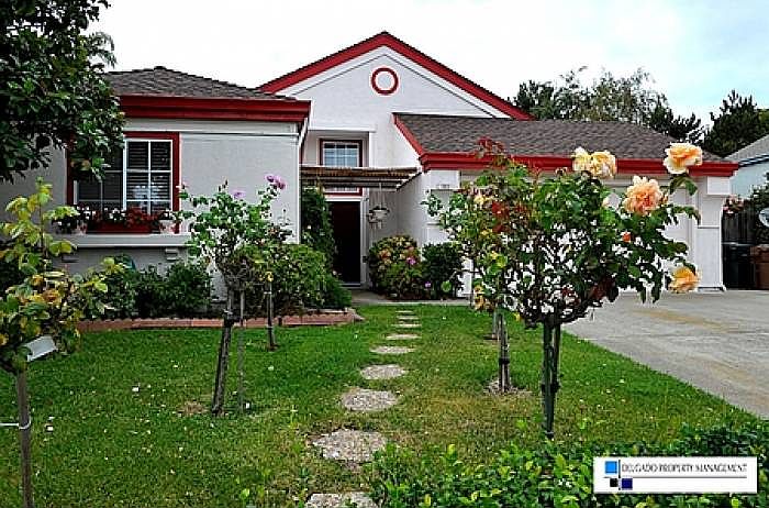 Beautiful Exterior & Yard