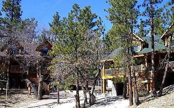 3rd image of 39546 Cline Miller Pl