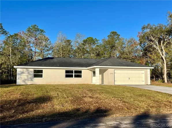12438 S Iris Point, Floral City, FL 34436