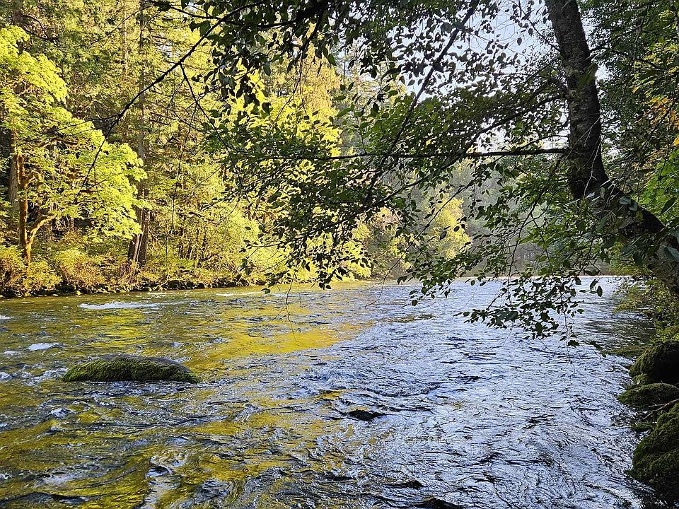 55690 McKenzie River Dr, Blue River, OR 97413 MLS 810183 Zillow