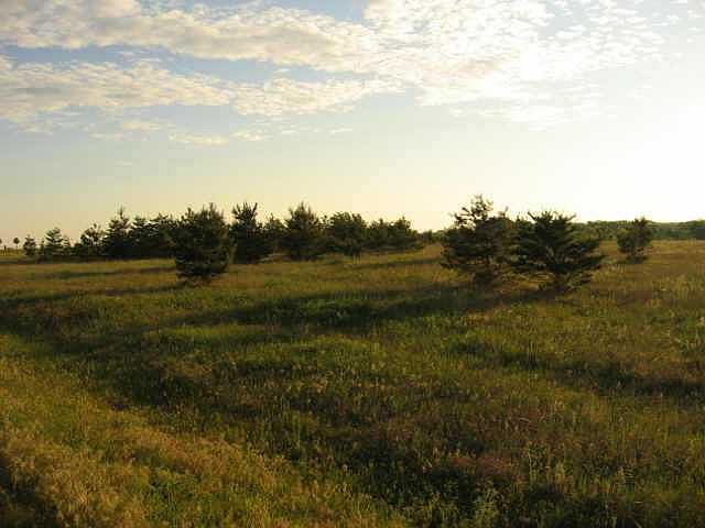 2nd image of Wolf Creek Ln Lot 5 & 6
