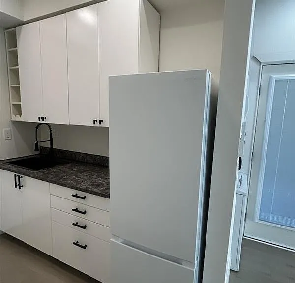 Fride/Freezer, Induction Stove Top, and Sink
