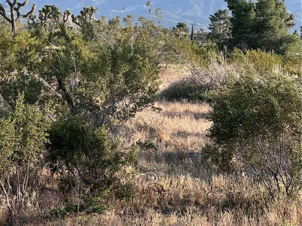 11774 Silver Rock Rd, Pinon Hills, CA 92372