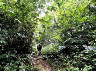State Highway 446 Km #7.5, Isabela, PR 00662