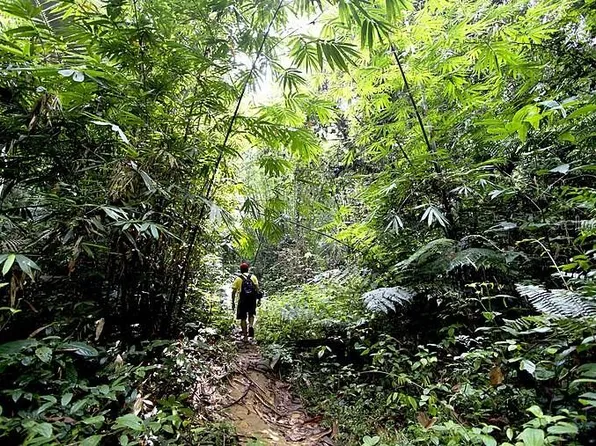 State Highway 446 Km #7.5, Isabela, PR 00662