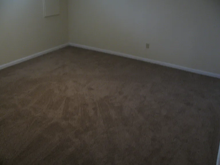 6459 Blackhaw Dr — Photo 5