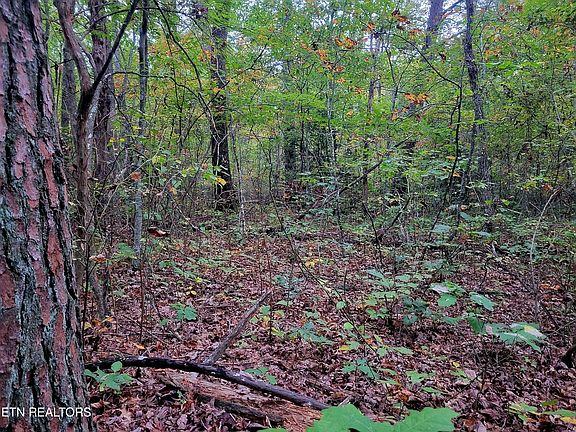 5th image of Cumberland Lakes Dr