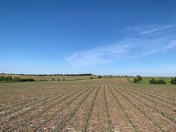 2nd image of 0 County Road 3 #N