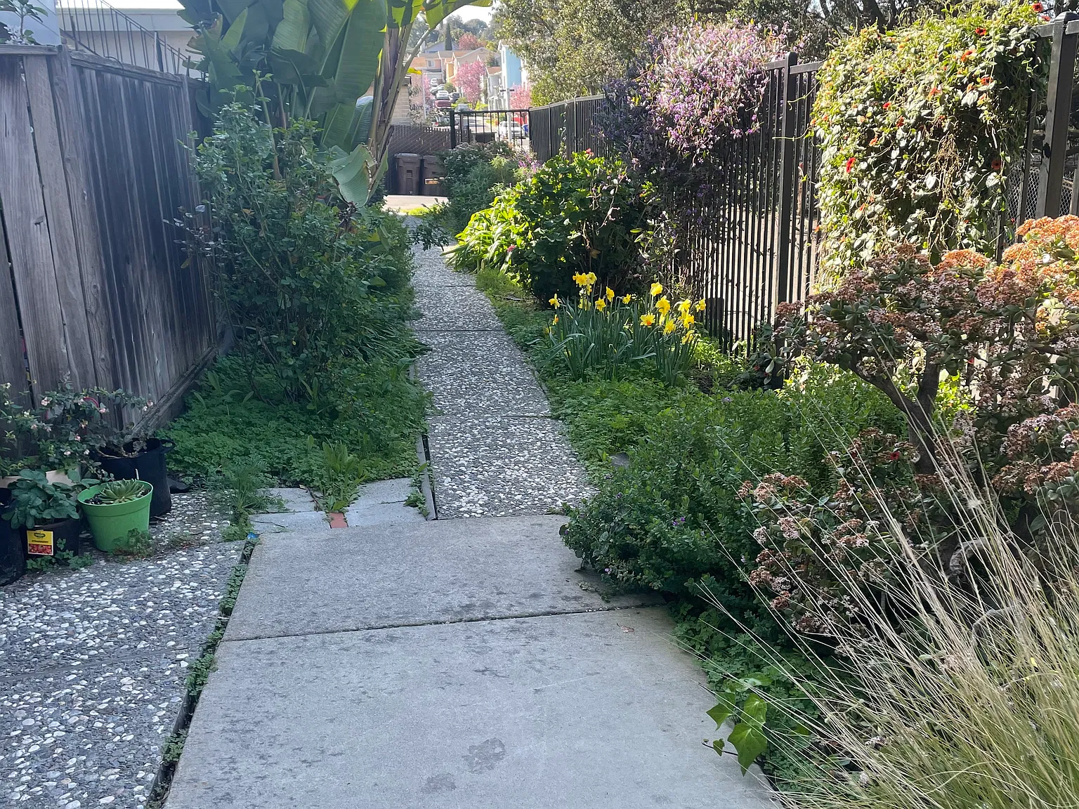 601 Madrone Ave — Photo 4