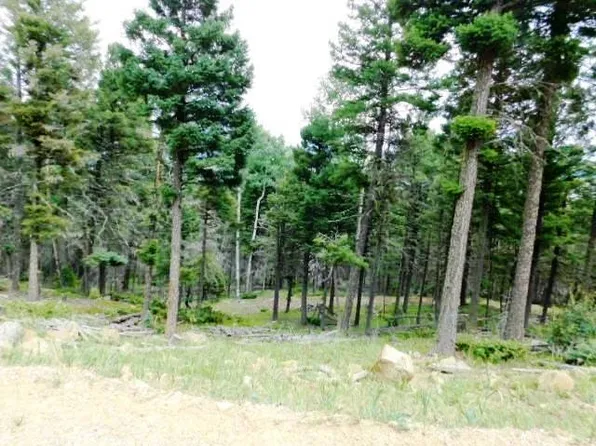 102 Zia Rd, Angel Fire, NM 87710