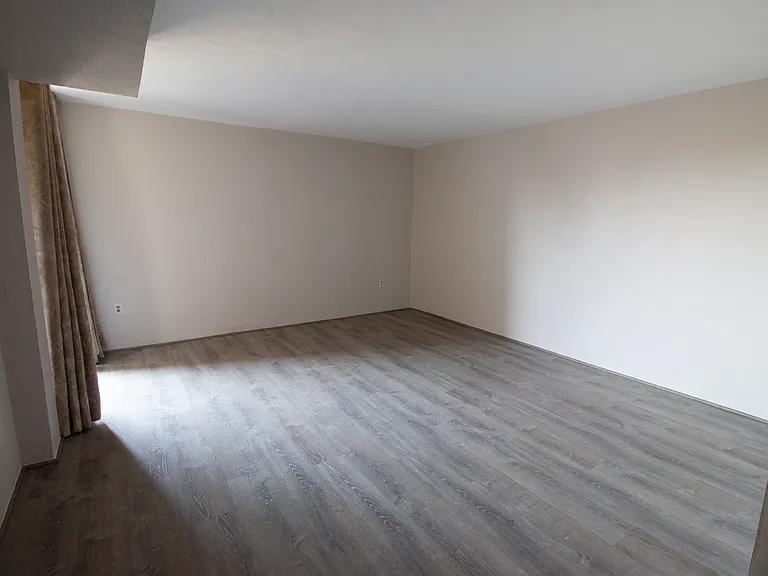 4511 Forest Ln — Photo 8