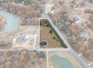 14367 Valley View Cv, Byhalia, MS 38611