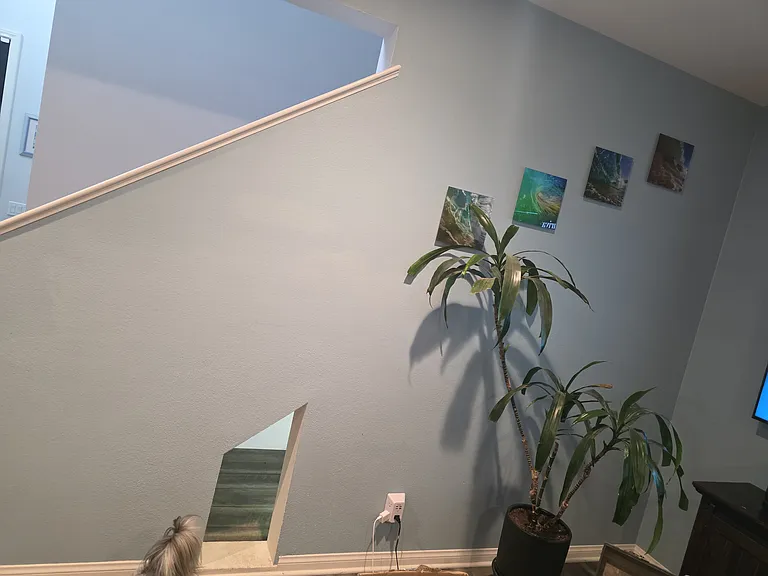 Swaying Palms Way — Photo 20
