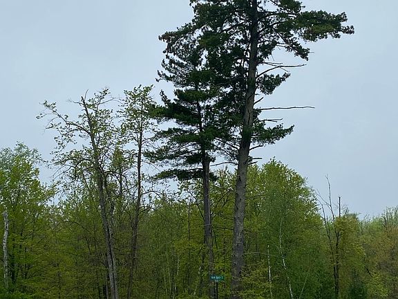 3rd image of LOT 9 Bear Path NE