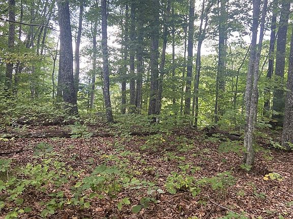 2nd image of 0 Redtail Rd Lot 66E