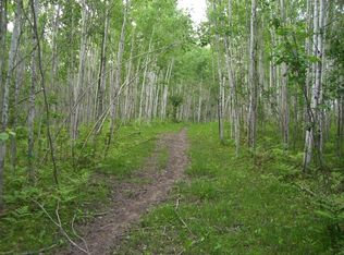 40778 Highway 72 NE, Kelliher, MN 56650