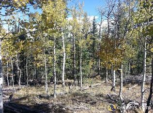 100 Hornbill Way, Como, CO 80456