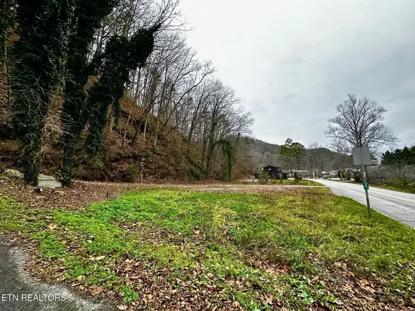 0 Cherohala Skyw, Tellico Plains, TN 37385