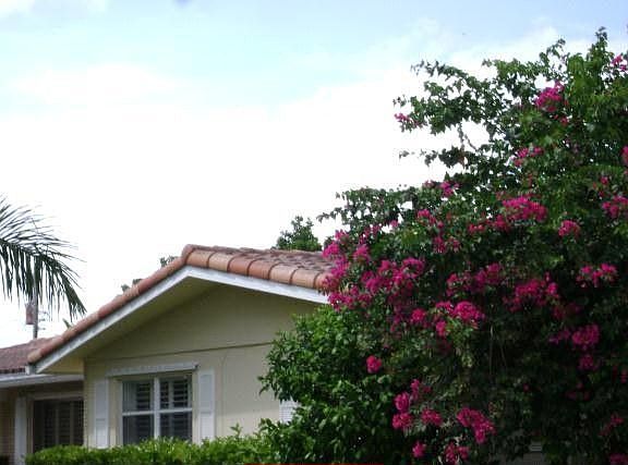 5th image of 1005 SE 10th Ct