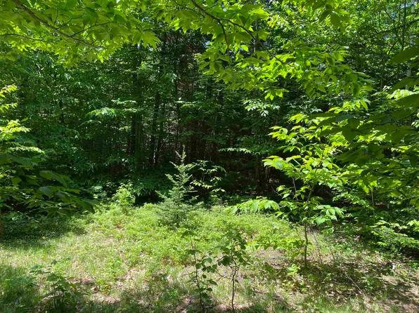 14 Fuller Hill Road, Whitingham, VT 05361