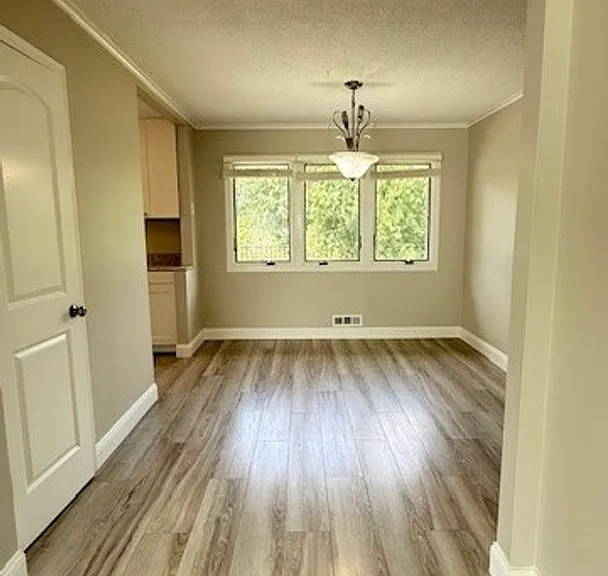 8442 Haeg Dr — Photo 10