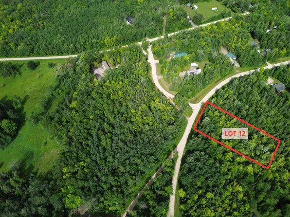 LOT 12 Natures Trl, Federal Dam, MN 56641