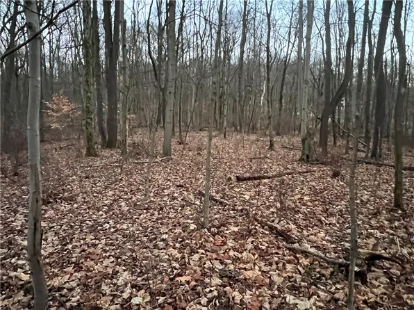 0 Trees Mills Rd, Greensburg, PA 15601