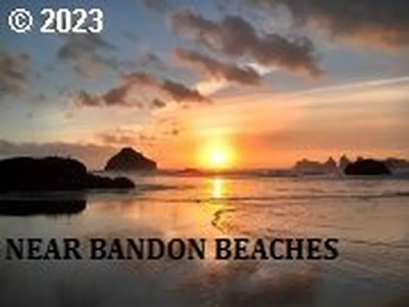 Thumbnail 15