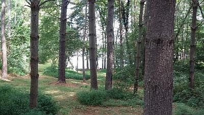 1st image of 128 Dudala Way Lot 6